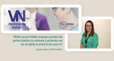 BVNA marks VNAM with launch of new survey